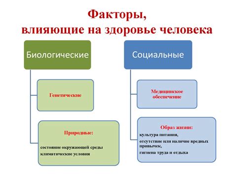 Как влияют на состояние кожи факторы внешней среды?