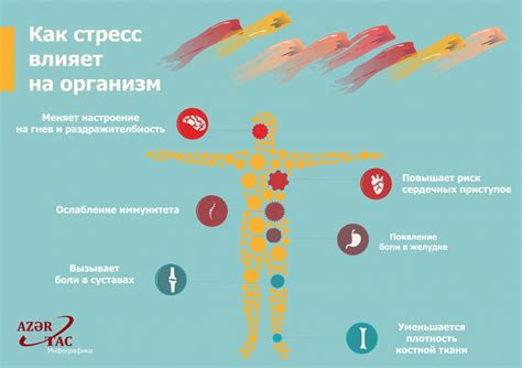 Как возрастной ритм деформирован влияет на организм?