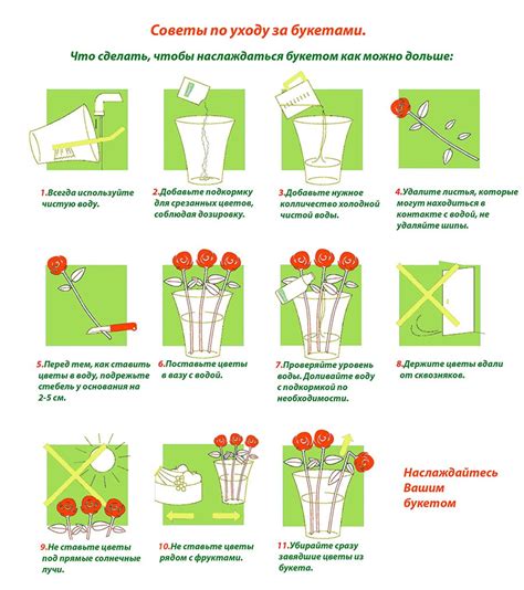 Как выбрать и ухаживать за цветами