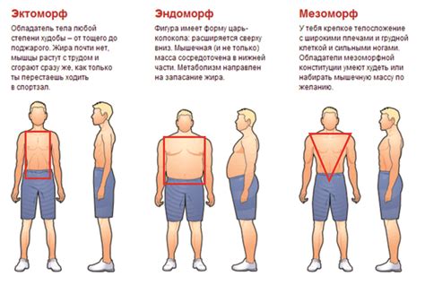 Как выбрать тип одежды для верхней части тела?