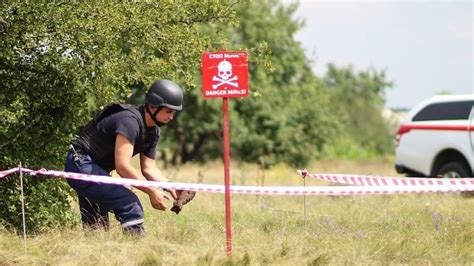 Как действовать при обнаружении моли в кукурузе