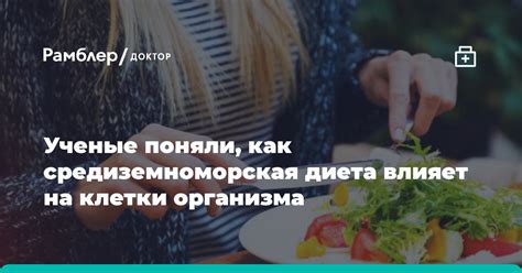 Как диета влияет на физиологические процессы организма