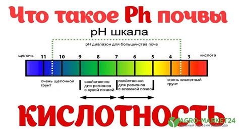 Как добавить кислотность для сохранения гороха