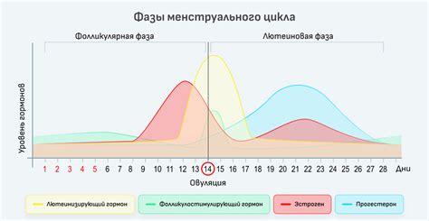 Как избавиться от мазни на 12 день цикла?