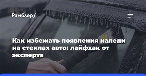 Как избежать появления липучек от тополей на автомобиле