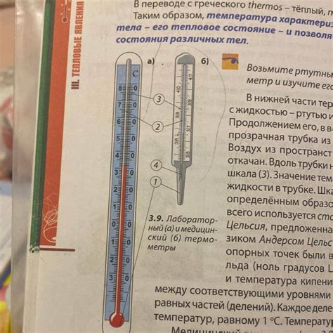 Как измерить ректальную температуру?