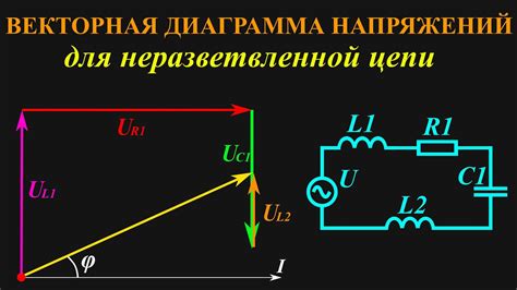 Как интерпретировать векторную диаграмму?