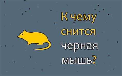 Как интерпретировать сон о пойманной мыши?