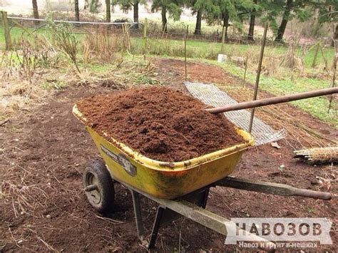 Как использовать конский навоз в сельском хозяйстве