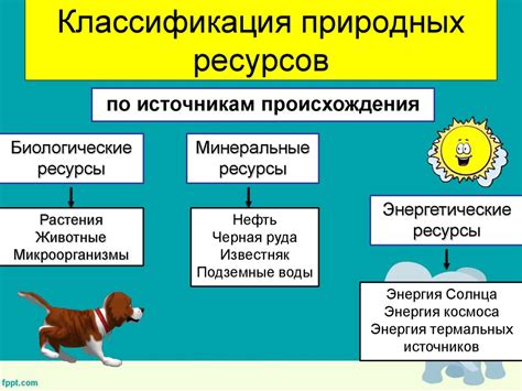 Как классифицируются природные компоненты?