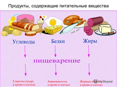 Как меняются питательные вещества 3-5 дней без пищи