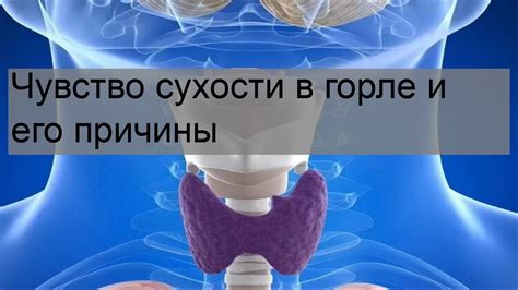 Как можно улучшить самочувствие при сухости в горле?