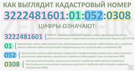 Как найти кадастровый номер квартиры?