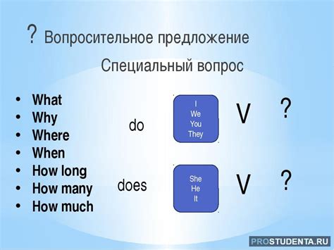 Как найти основу предложения в вопросительных предложениях