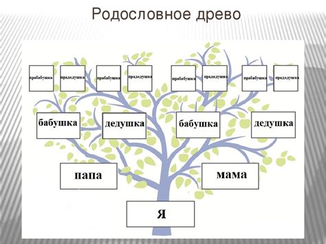 Как найти полное имя своей бабушки?