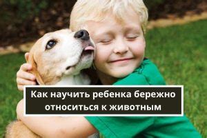 Как научить детей бережно относиться к животным