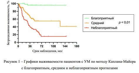 Как обучиться методу Майера