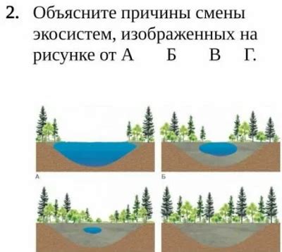 Как объяснить причины смены