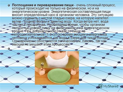 Как оказывает воздействие голодание в течение 72 часов на организм: