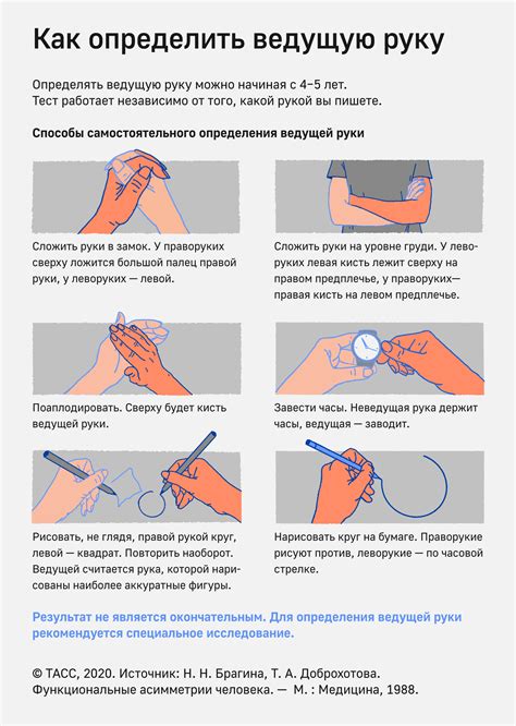 Как определить левша или правша: первые признаки