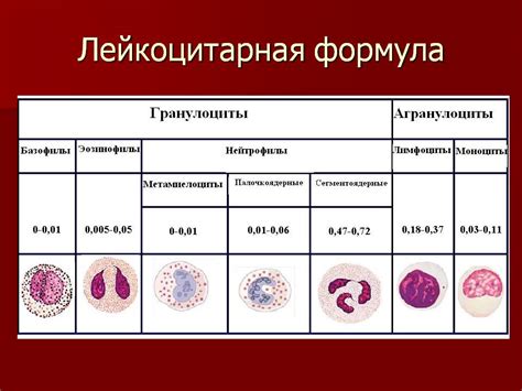 Как определить наличие палочек в крови у детей