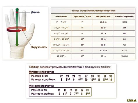 Как определить размеры