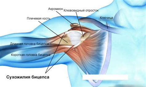 Как определить разрыв сухожилий на руке