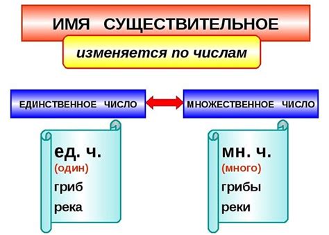 Как определить число существительного?