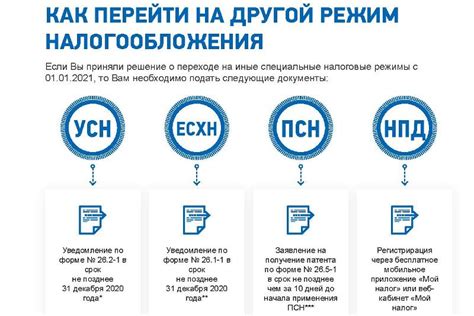 Как получить справку об ИП: пошаговая инструкция и FAQ