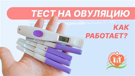 Как пользоваться тестом для определения целей?