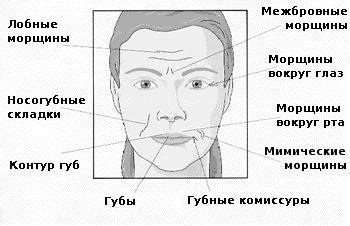 Как понять, какие морщины вам необходимо устранить: