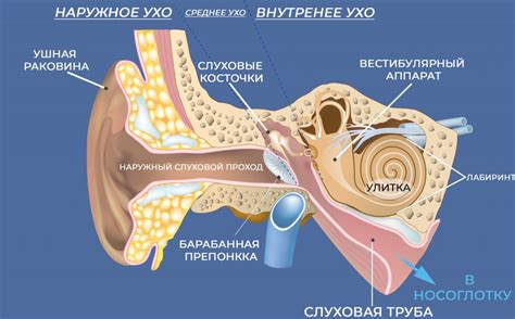 Как понять, что в ухе застрял воздух?