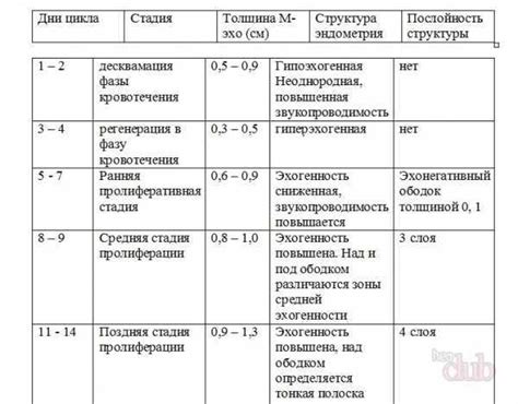 Как правильно выбрать М эхо 17 мм для своей задачи?