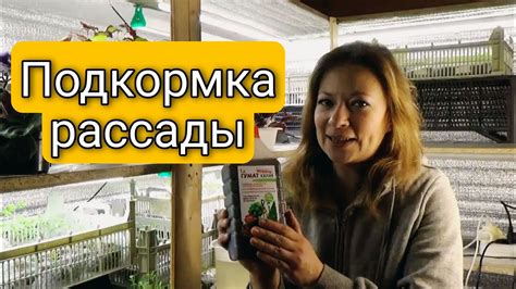 Как правильно распределить подкормку