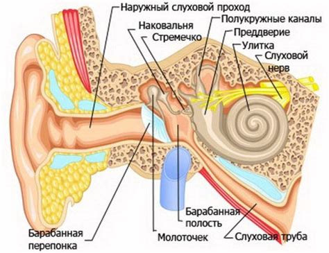 Как предотвратить возникновение ситуации, когда в ухо попадает воздух?