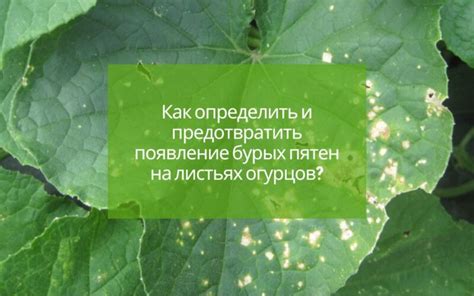 Как предотвратить появление