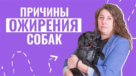 Как предотвратить собаку от съедения растительного масла?