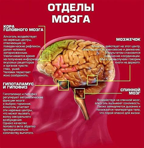 Как преодолеть чувство стыда после алкогольного употребления?