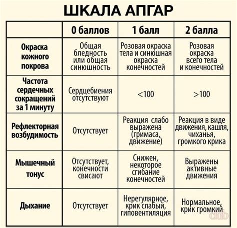 Как проводится Апгар-оценка новорожденного?