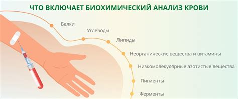 Как проводится анализ ревматоидных факторов в крови