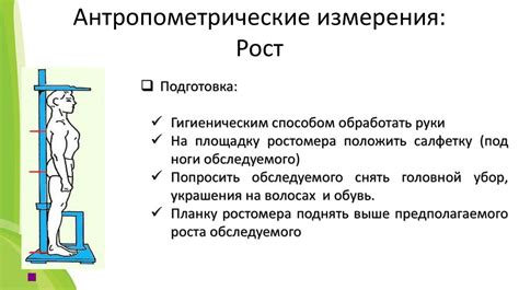 Как проводится измерение антропометрии?