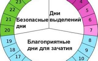 Как производится расчет срока зачатия