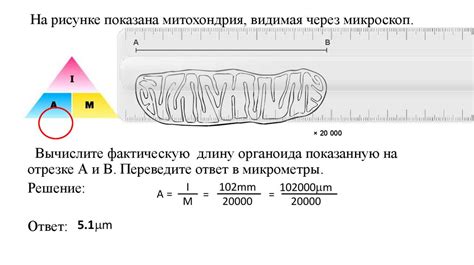 Как работает линейное увеличение?