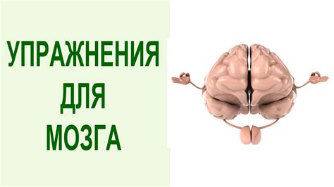 Как развить мозг: 7 проверенных методов