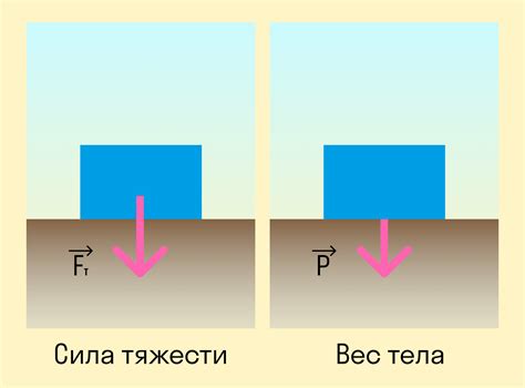 Как сила тяжести влияет на движение и состояние объектов в физическом пространстве