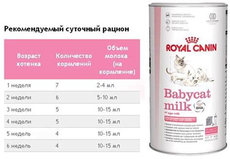 Как создать комфортные условия для кормления котенка 1 недели без кошки?