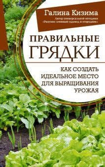 Как создать условия для выращивания цветков высокого качества