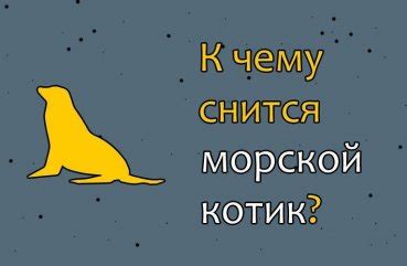 Как толковать сон о потере котенка?