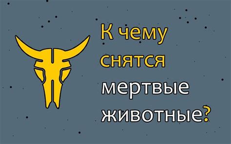 Как трактовать сон о драке для девушки