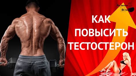 Как увеличить его уровень?